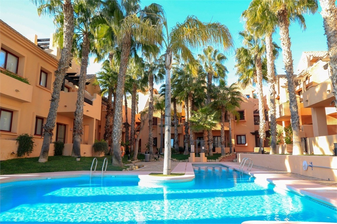 Community pool framed by palm trees at Nueva Ribera Beach Club